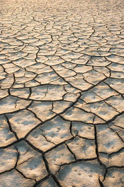 Seco agrietado Chaps tierra — Foto de Stock