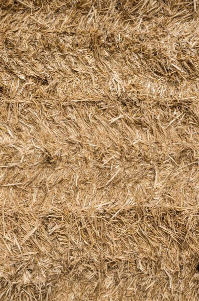 Pile of straw texture — Stock Photo, Image