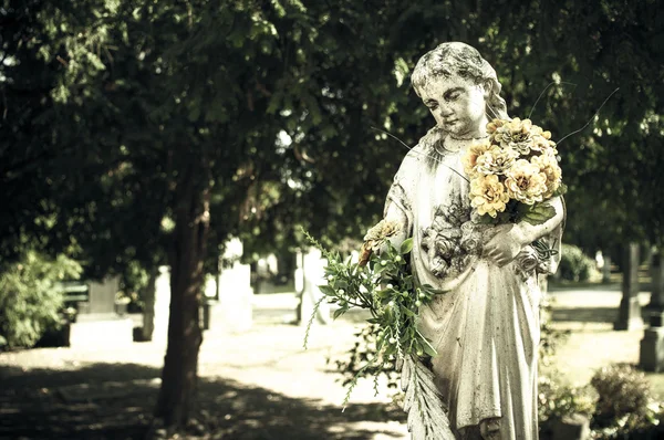 Friedhof in Bratislava, Slowakei — Stockfoto