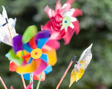 Çeşitli renkli Pinwheels