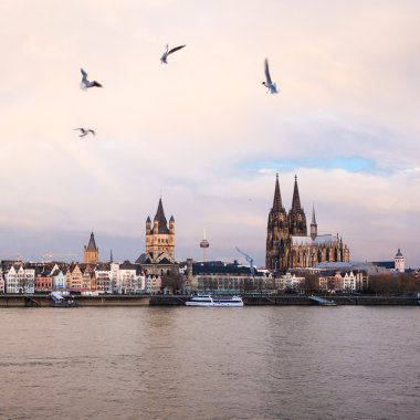 Koeln panorama and river Rhine clipart