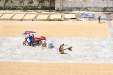  Çinli köylüler yeni pirinç hava 