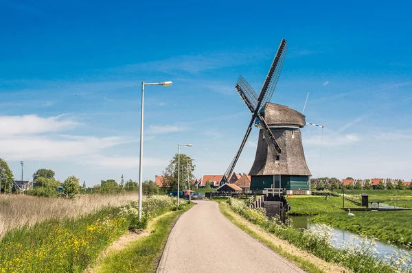 Traditionelle holländische Windmühle — Stockfoto