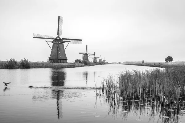 Традиційні вітряки Голландська — стокове фото