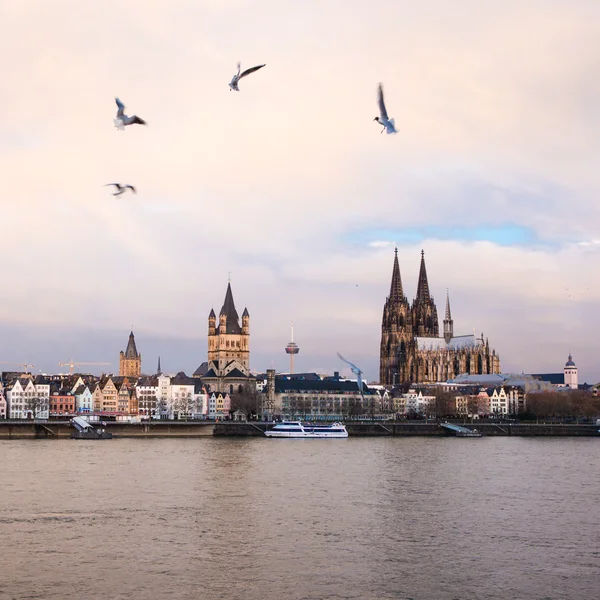 Panorama de Koeln y río Rin — Foto de Stock