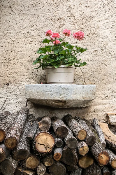 Yakacak odun yığını üzerinde çiçekler — Stok fotoğraf