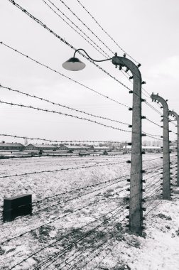 Birkenau Auschwitz toplama kampı