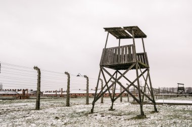 Birkenau Auschwitz toplama kampı