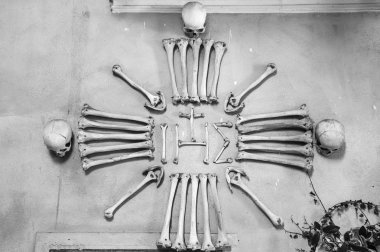  Kemikleri ile yapılan sanat eseri