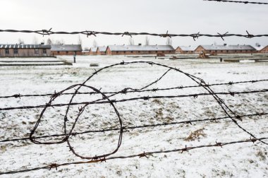 Birkenau Auschwitz toplama kampı