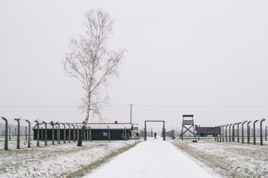 Birkenau Auschwitz toplama kampı