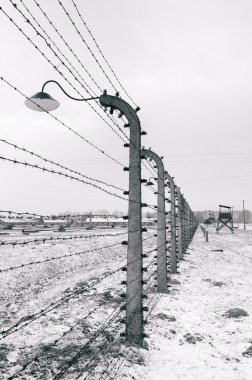Birkenau Auschwitz toplama kampı