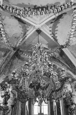  Kemikleri ile yapılan sanat eseri