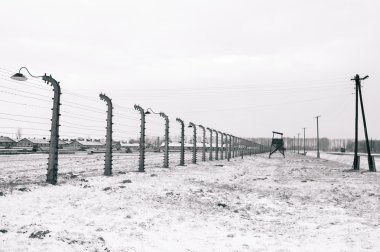 Birkenau Auschwitz toplama kampı