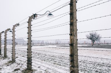 Birkenau Auschwitz toplama kampı
