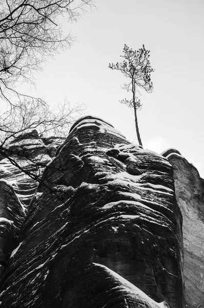 Skály v Adršpachu národní park — Stock fotografie