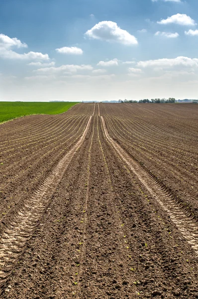 Campo de batalla histórico en Waterloo — Foto de Stock