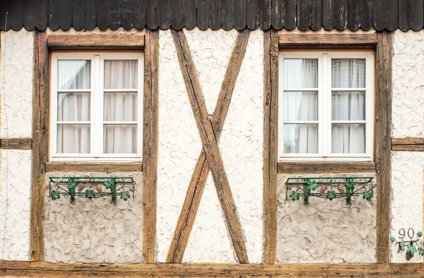 Windows com decoração de motivo de uva — Fotografia de Stock