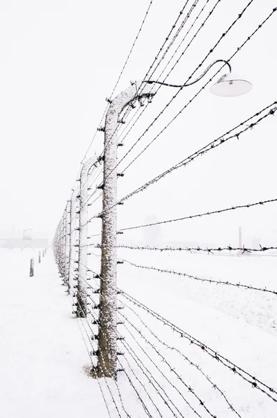 Campo de concentração coberto de neve — Fotografia de Stock