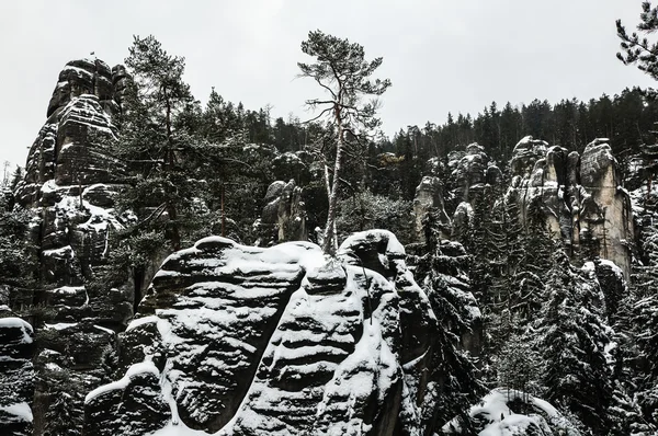 Pedras no parque nacional de Adrspach — Fotografia de Stock