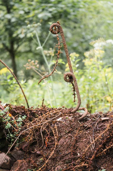 Barbed wire on the cliff — Stock Photo, Image