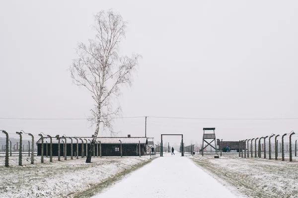 Koncentrační tábor Osvětim Birkenau — Stock fotografie