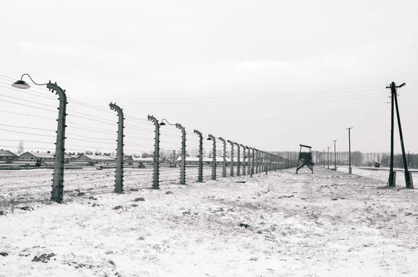 Концентрационный лагерь Аушвиц-Биркенау — стоковое фото