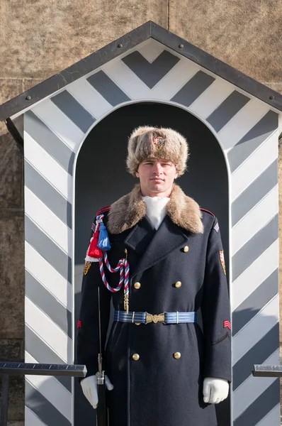 Soldado da elite Praga Castelo Guarda — Fotografia de Stock