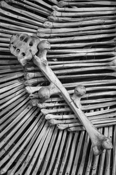 Art work made with bones — Stock Photo, Image