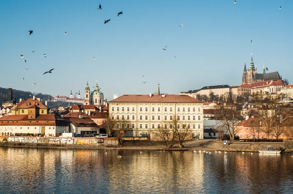 Catedral de San Vito en Praga — Foto de Stock