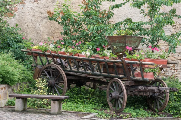 Old carriage full of flowers — Stock Photo, Image