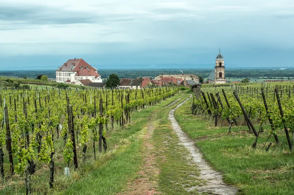 Vineyard village előtt — Stock Fotó