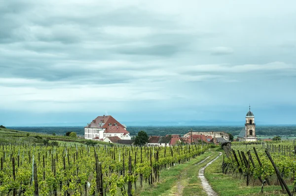 Vineyard in front of village — Stock Photo, Image