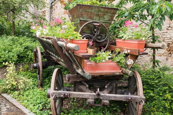 Old carriage full of flowers — Stock Photo, Image