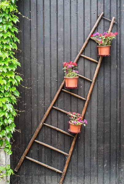 Saksı ile ahşap merdiven