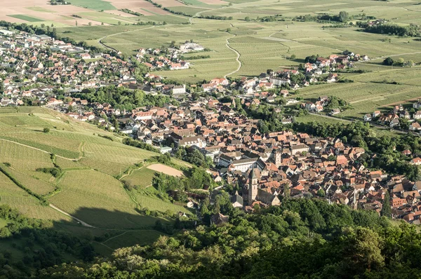 Ansicht von ribeauville aus dem hohen Winkel — Stockfoto