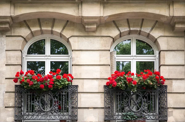 Fenêtres parisiennes typiques — Photo