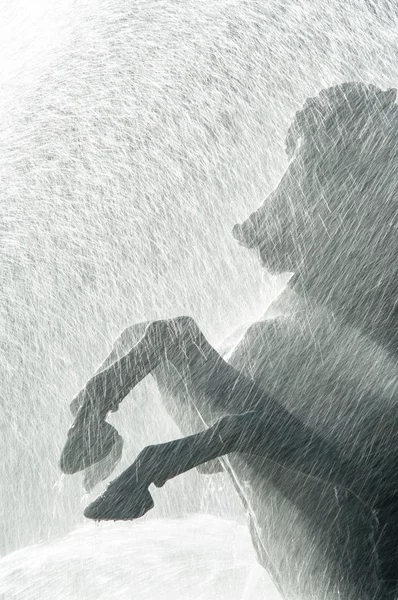 A horse sculpture in the fountain — Stock Photo, Image