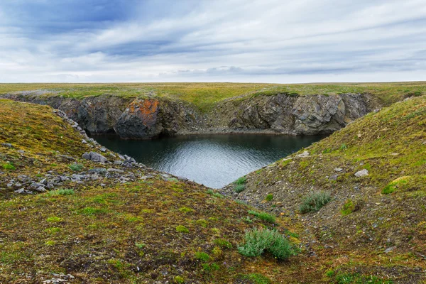 El río Ilyinka en Novaya Zemlya —  Fotos de Stock