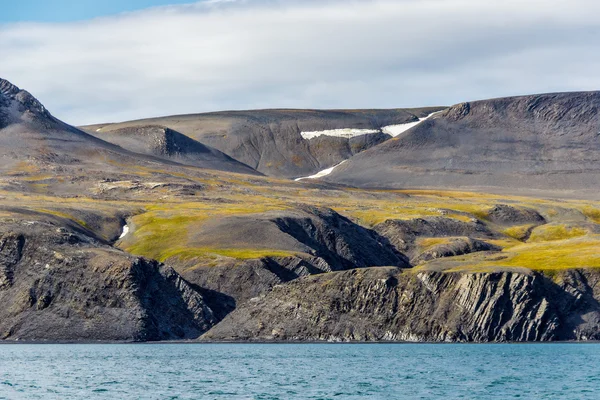 Orilla de Novaya Zemlya —  Fotos de Stock