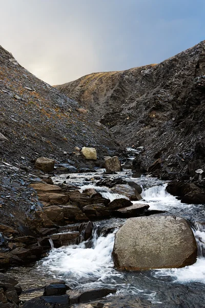 La rivière sur Novaya Zemlya — Photo