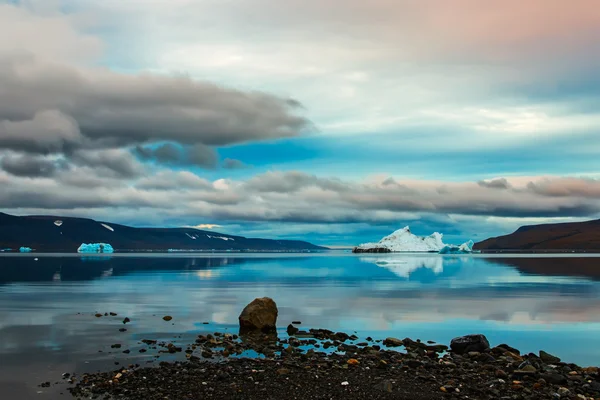 Orso della baia su Novaya Zemlya — Foto Stock