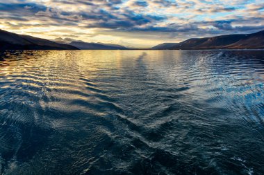 Novaya Zemlya Bay ayı