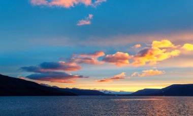 Novaya Zemlya buzulda Serp-i-Molot koyu bir ayı içinde