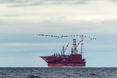 Petrol platformu Barents Denizi'nde Prirazlomnaya