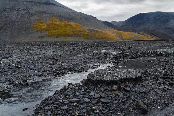 El río en Novaya Zemlya —  Fotos de Stock