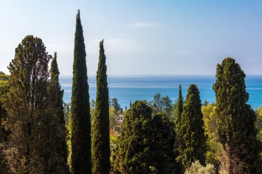 Yeni Athos, Karadeniz tarz--dan Simono-Kananitsky monaster