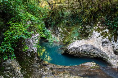 Güzel dağ Nehri Abhazya