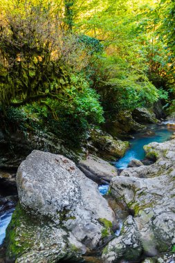Güzel dağ Nehri Abhazya