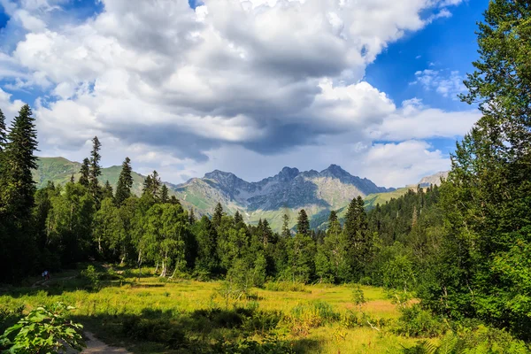 Los prados alpinos en las montañas de Abjasia — Foto de Stock